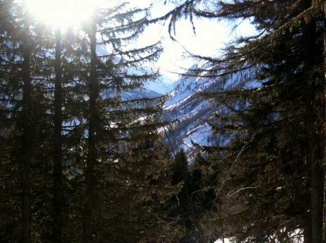  Esquí de fondo en el valle de Chamonix 